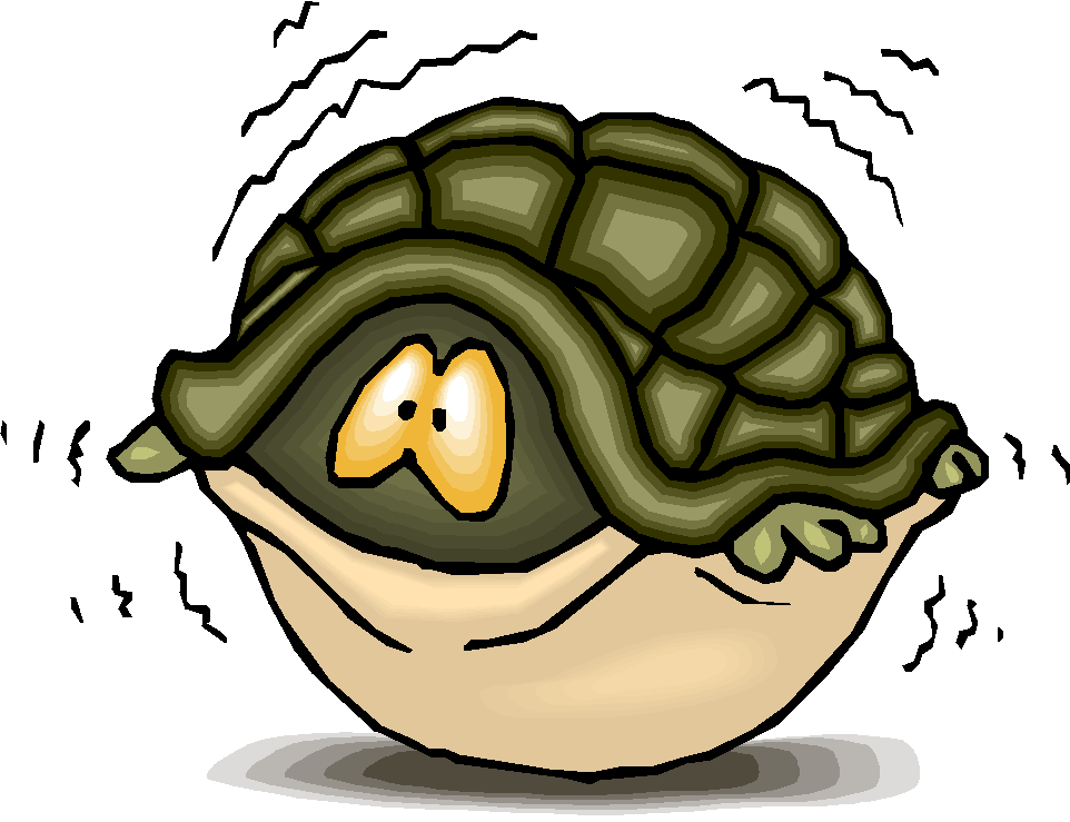 hiding-turtle