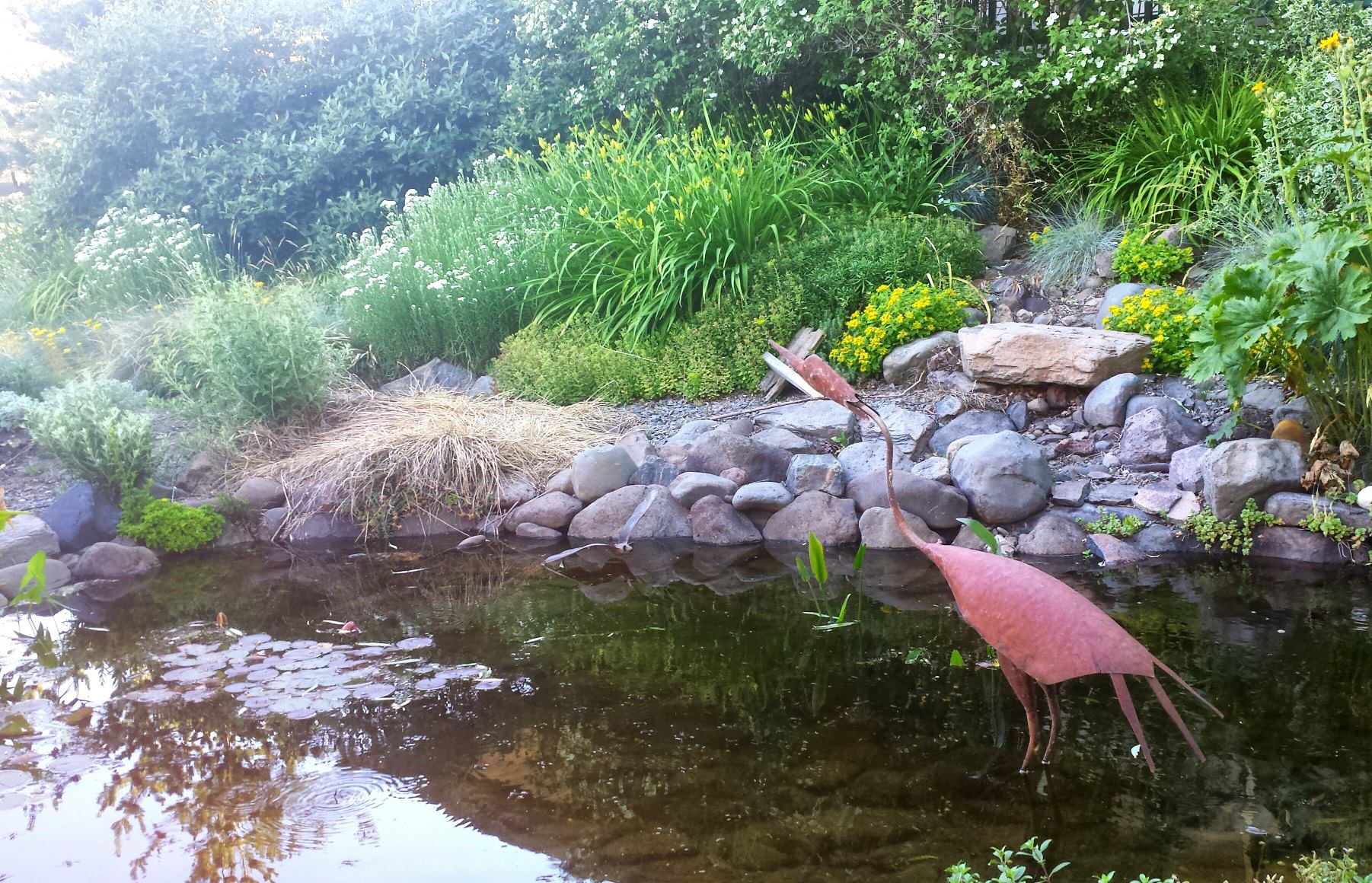 Purging the Pond